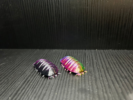 Articulated Isopod