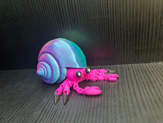 Hermit Crab