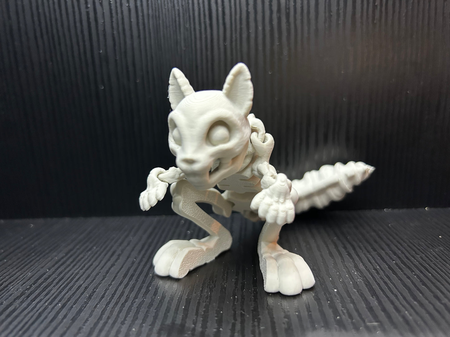 Articulated Squirrel Skeleton